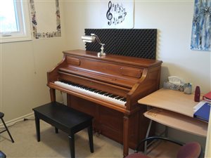 The Acoustic Piano